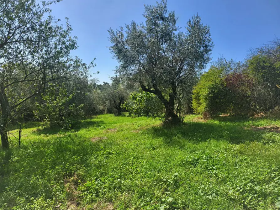 Immagine 16 di Casa bifamiliare in vendita  in Via Monti di Marvaiata a Formello