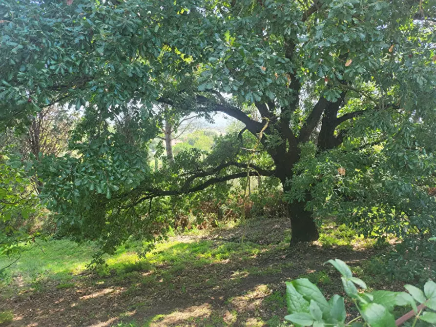 Immagine 17 di Casa bifamiliare in vendita  in Via Monti di Marvaiata a Formello
