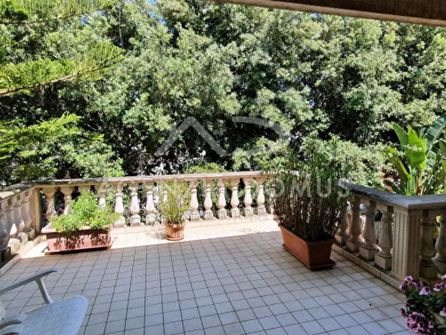 Immagine 6 di Villa in vendita  in Via Giuseppe Mazzini a Racale