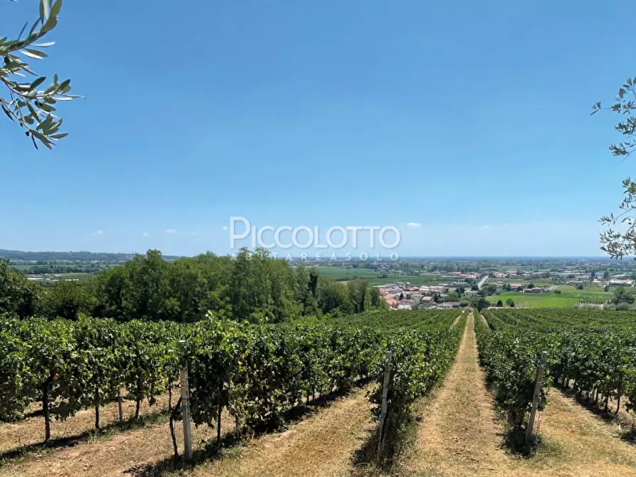 Immagine 3 di Rustico / casale in vendita  in piazza della Pieve a Maser