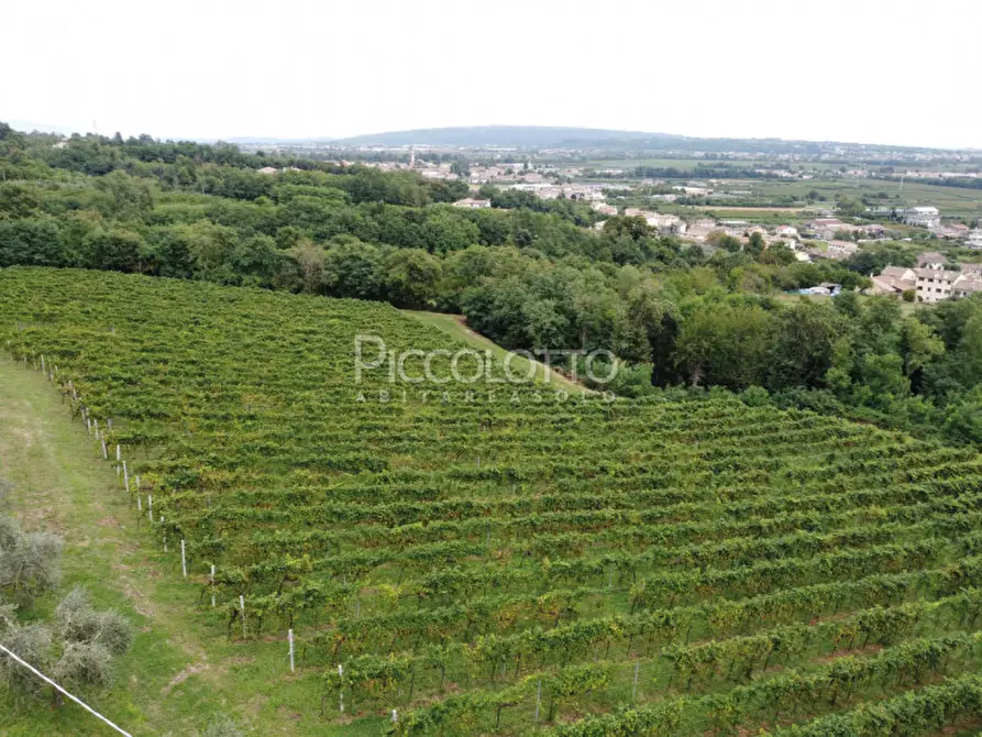 Immagine 10 di Rustico / casale in vendita  in piazza della Pieve a Maser