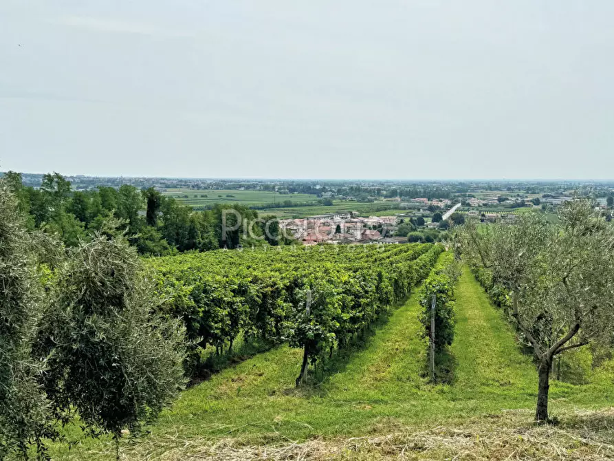 Immagine 19 di Rustico / casale in vendita  in piazza della Pieve a Maser