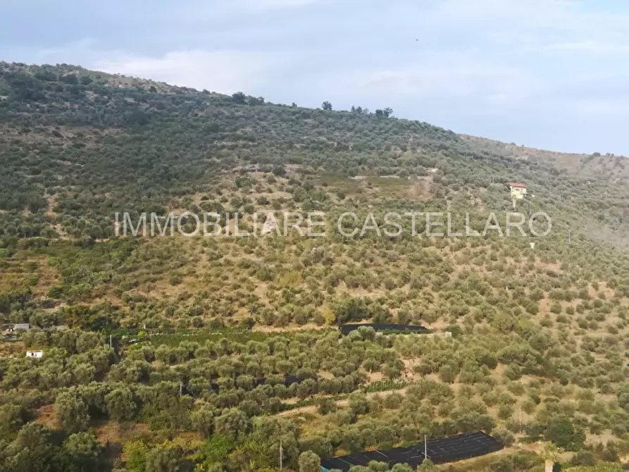 Immagine 1 di Terreno in vendita  in castellaro a Castellaro