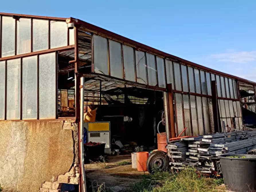 Immagine 5 di Terreno in vendita  in Via Frantoi Canai a San Remo