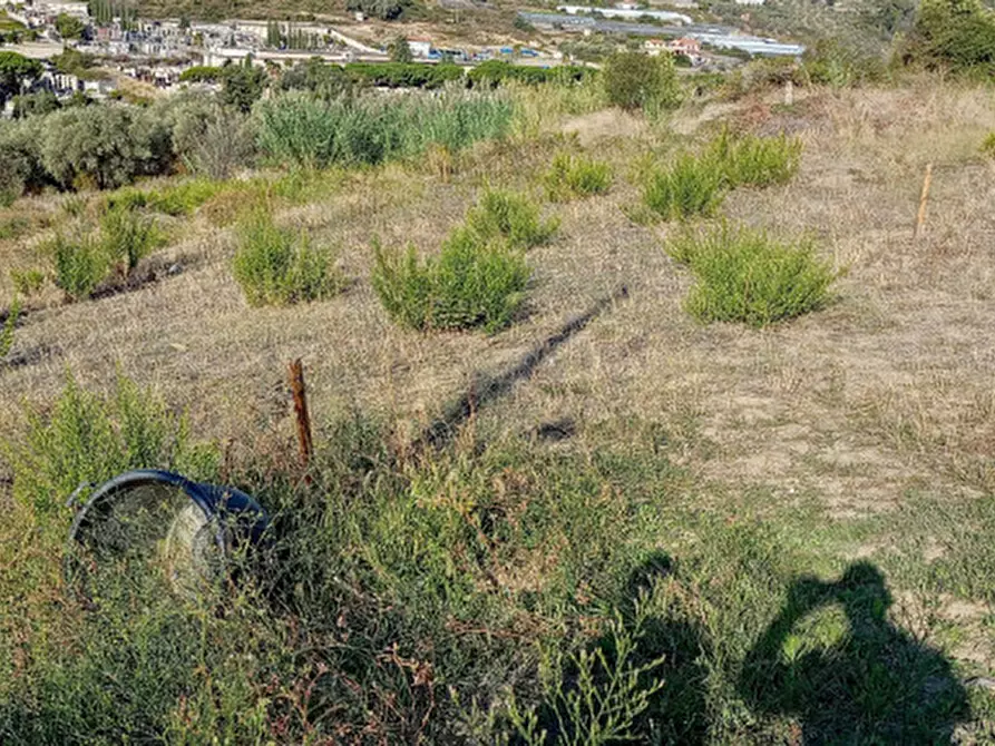 Immagine 3 di Terreno in vendita  in Via Frantoi Canai a San Remo