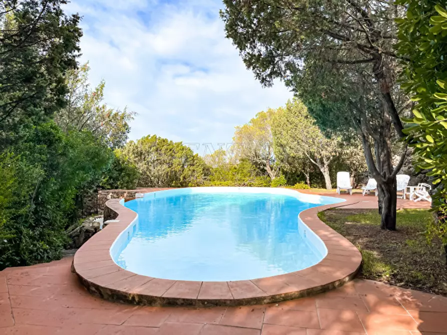 Immagine 1 di Villa in vendita  a Arzachena