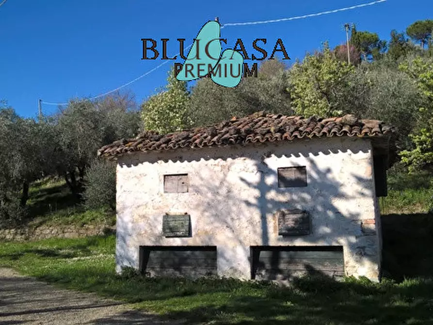 Immagine 4 di Casa indipendente in vendita  a Castrocaro Terme E Terra Del Sole