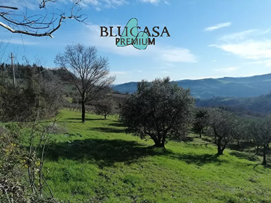 Immagine 9 di Casa indipendente in vendita  a Castrocaro Terme E Terra Del Sole