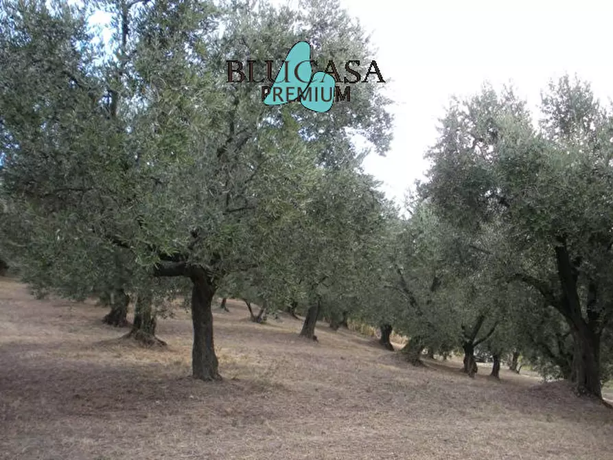 Immagine 11 di Casa indipendente in vendita  a Castrocaro Terme E Terra Del Sole