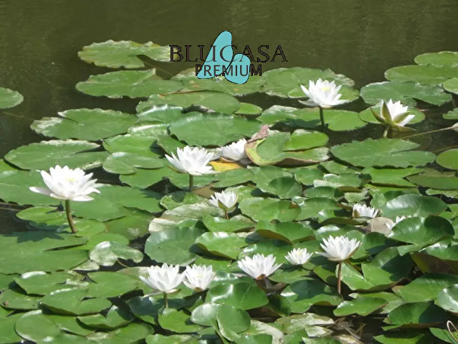 Immagine 15 di Casa indipendente in vendita  a Castrocaro Terme E Terra Del Sole