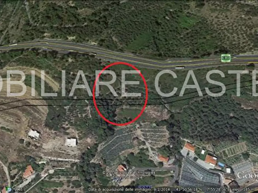 Immagine 4 di Terreno in vendita  in Cipressa a Cipressa