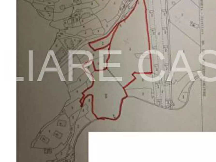 Immagine 5 di Terreno in vendita  in Cipressa a Cipressa