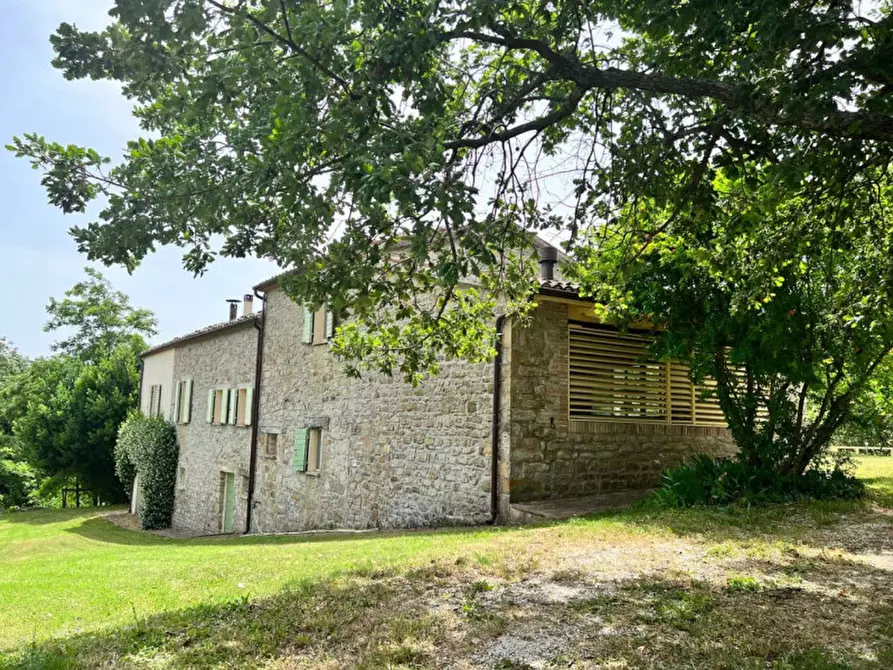 Immagine 5 di Rustico / casale in vendita  in Tavoleto a Tavoleto