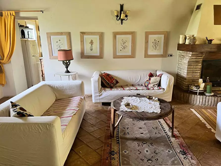 Immagine 18 di Rustico / casale in vendita  in Tavoleto a Tavoleto