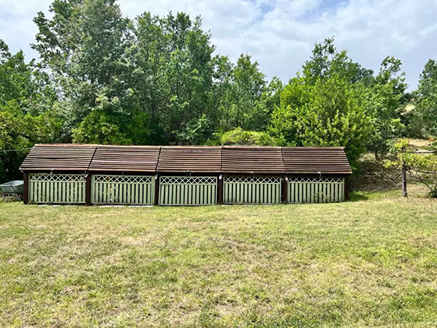 Immagine 44 di Rustico / casale in vendita  in Tavoleto a Tavoleto