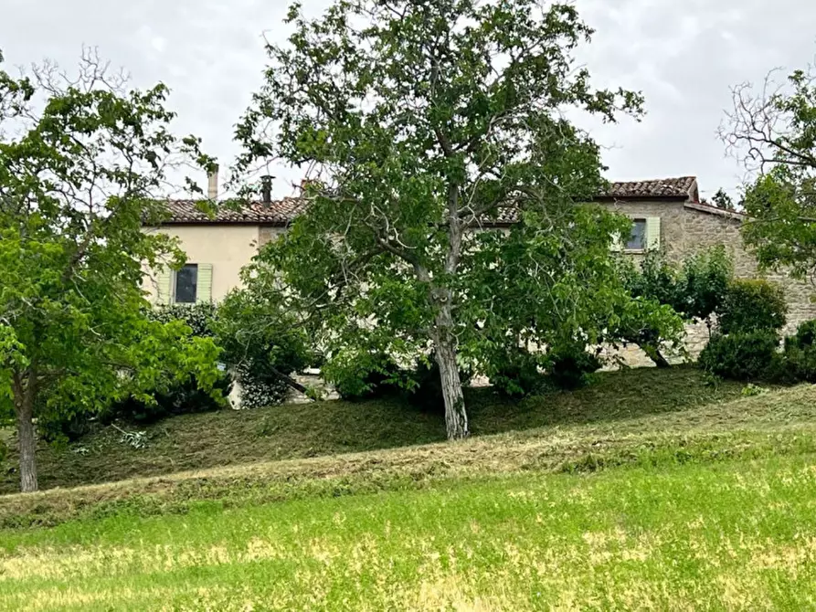 Immagine 46 di Rustico / casale in vendita  in Tavoleto a Tavoleto