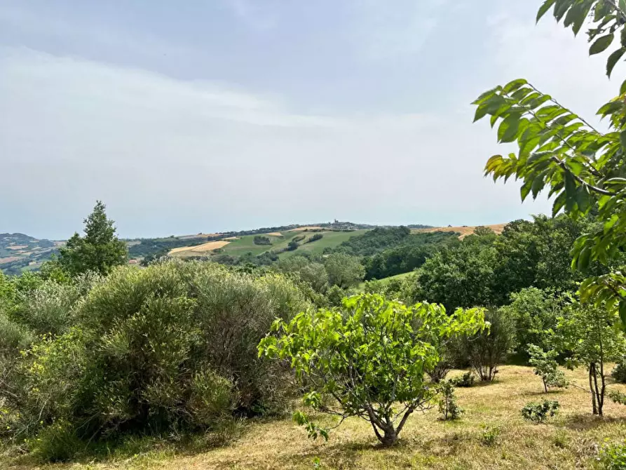 Immagine 47 di Rustico / casale in vendita  in Tavoleto a Tavoleto