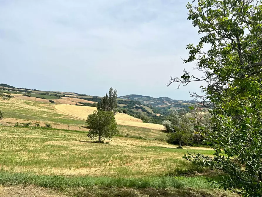 Immagine 48 di Rustico / casale in vendita  in Tavoleto a Tavoleto