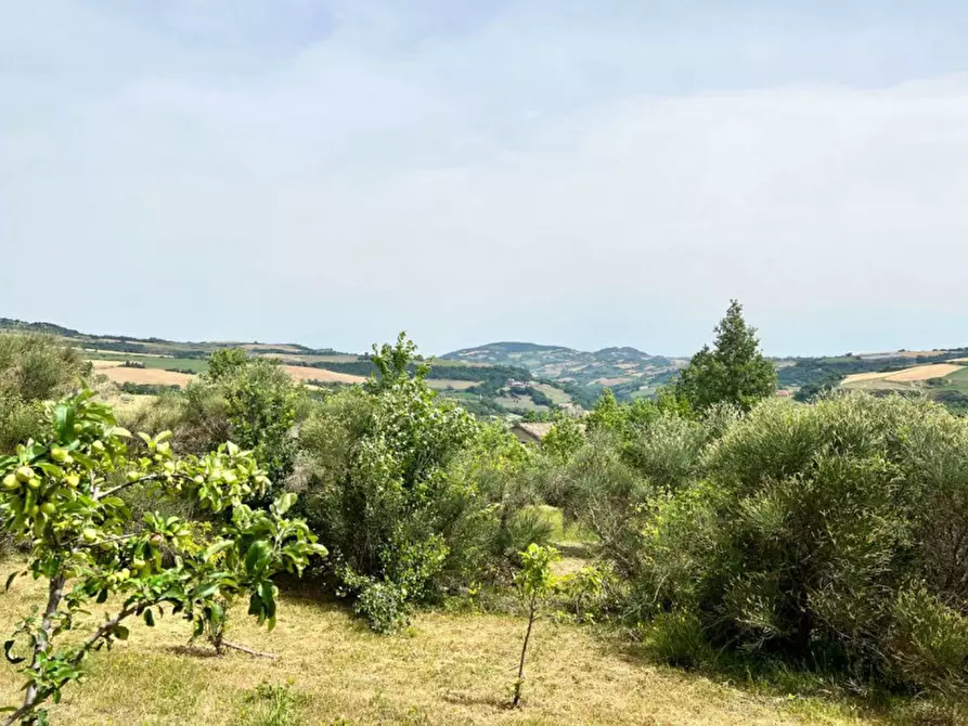 Immagine 49 di Rustico / casale in vendita  in Tavoleto a Tavoleto