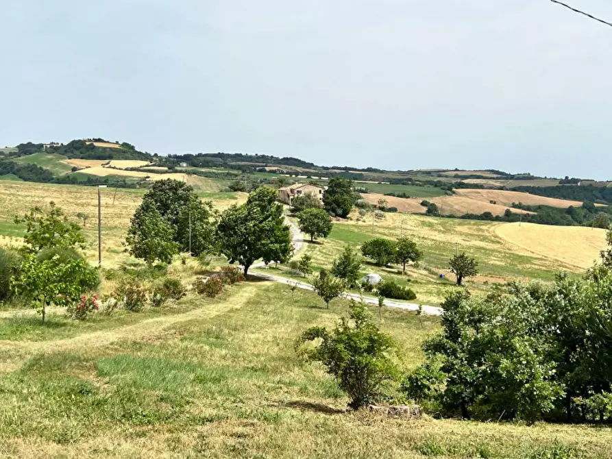 Immagine 50 di Rustico / casale in vendita  in Tavoleto a Tavoleto