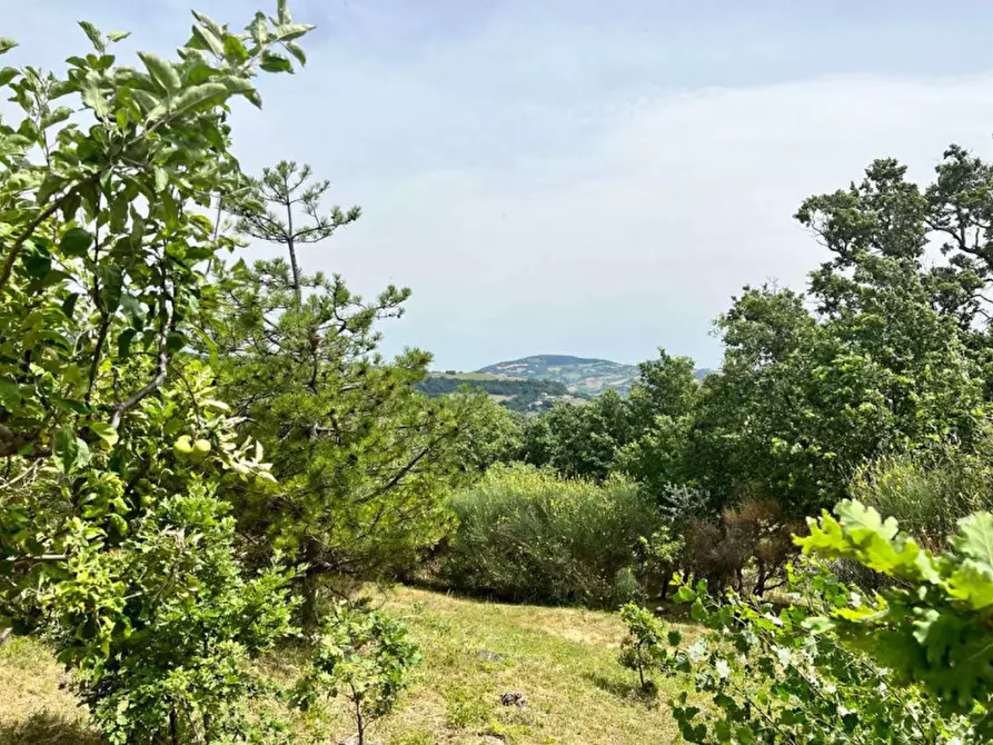 Immagine 51 di Rustico / casale in vendita  in Tavoleto a Tavoleto