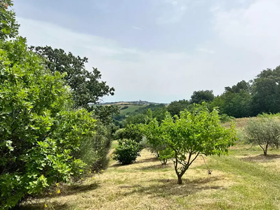 Immagine 52 di Rustico / casale in vendita  in Tavoleto a Tavoleto