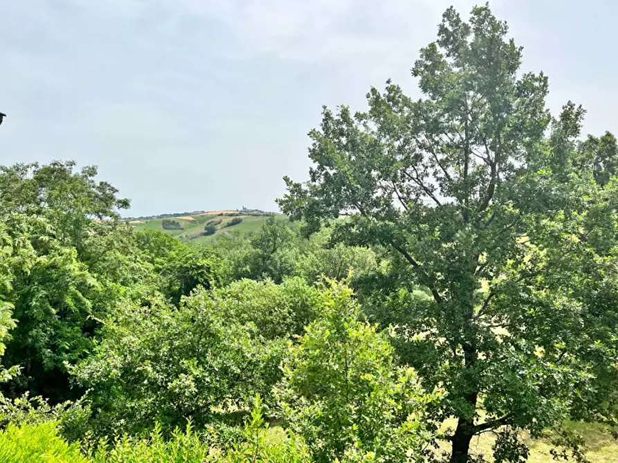 Immagine 53 di Rustico / casale in vendita  in Tavoleto a Tavoleto