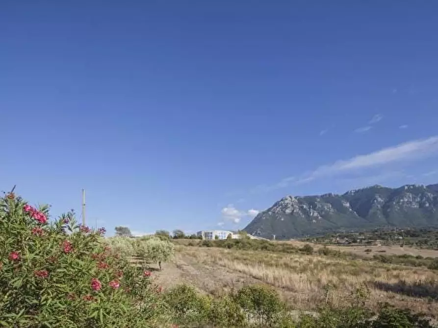 Immagine 8 di Rustico / casale in vendita  in VIA MONACO a Postiglione