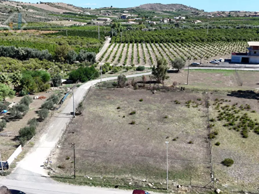 Immagine 1 di Terreno in vendita  in c.da Albanello snc a Palagonia