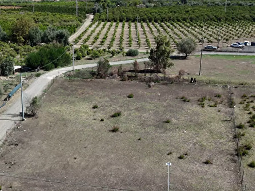 Immagine 8 di Terreno in vendita  in c.da Albanello snc a Palagonia