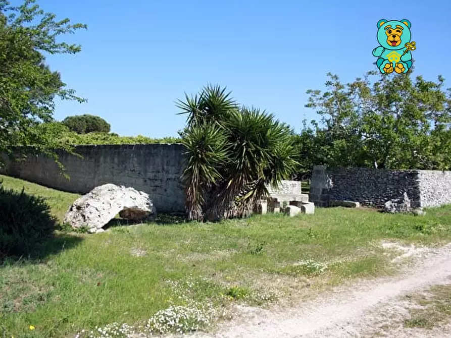 Immagine 5 di Villa in vendita  in strada provinciale lecce torre dell'orso a Melendugno