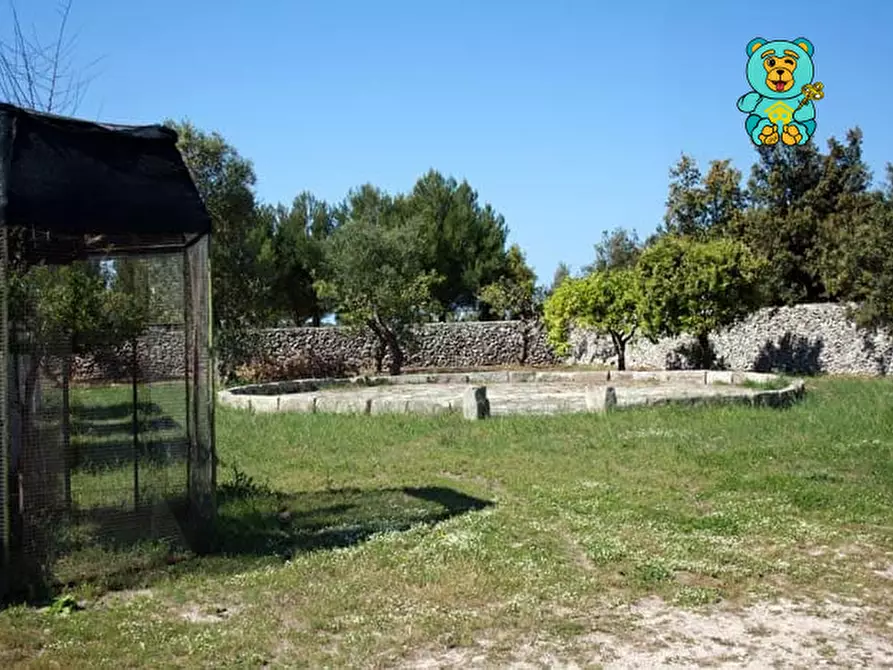 Immagine 6 di Villa in vendita  in strada provinciale lecce torre dell'orso a Melendugno