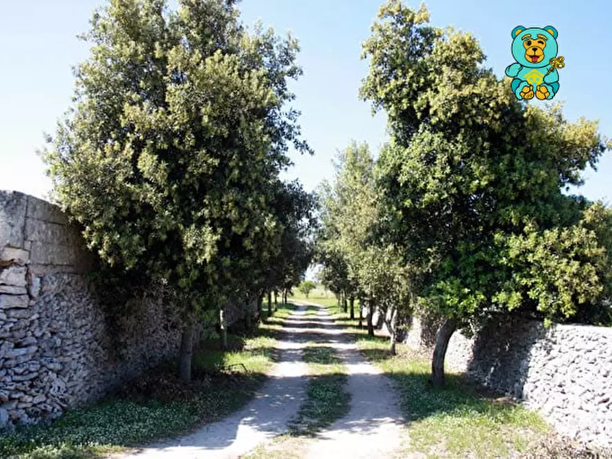 Immagine 7 di Villa in vendita  in strada provinciale lecce torre dell'orso a Melendugno