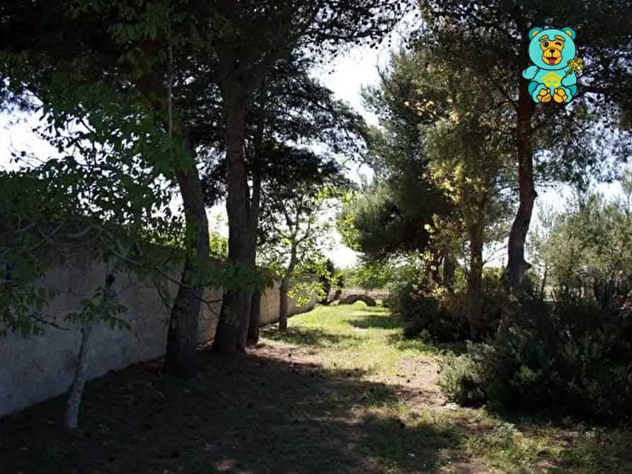 Immagine 11 di Villa in vendita  in strada provinciale lecce torre dell'orso a Melendugno
