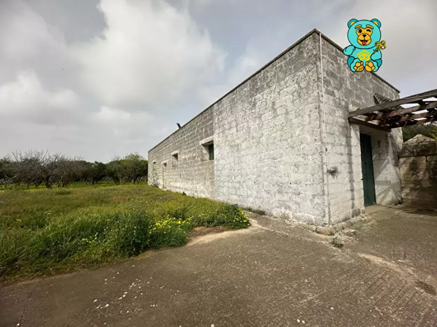 Immagine 38 di Villa in vendita  in strada provinciale lecce torre dell'orso a Melendugno