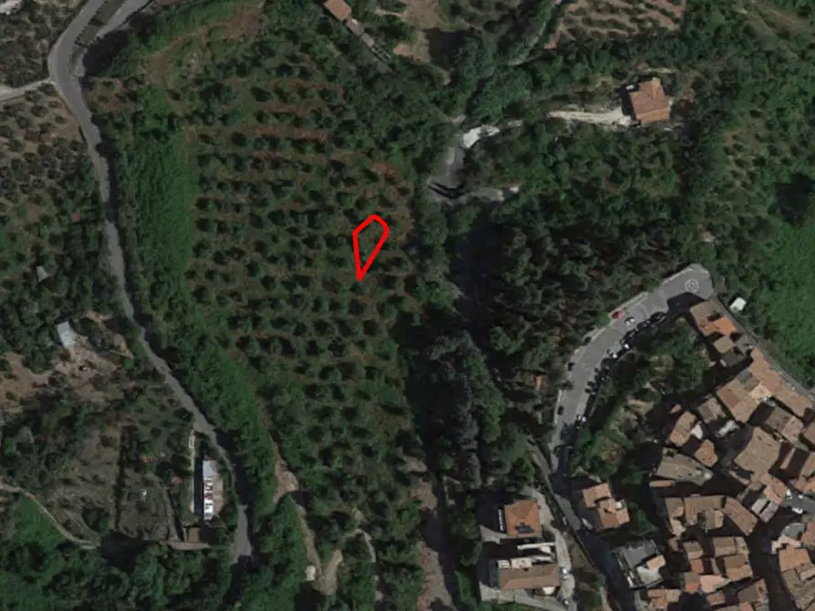 Immagine 1 di Terreno in vendita  in via della Pineta, N. snc a Castel Madama