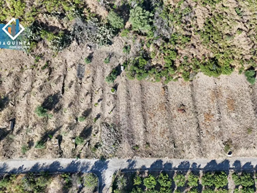 Immagine 7 di Terreno in vendita  in viale Resistenza Partigiana a Palagonia