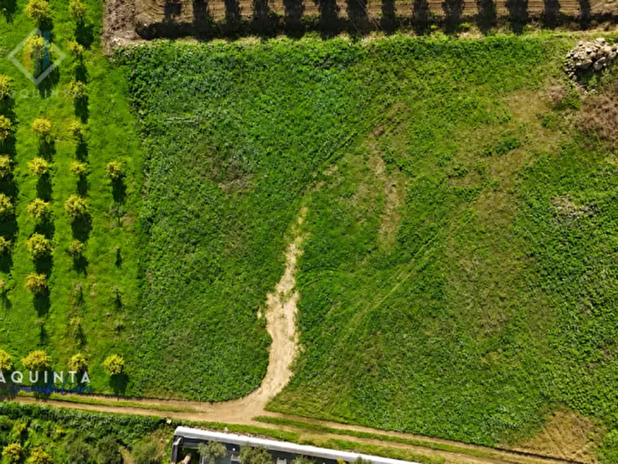 Immagine 2 di Terreno in vendita  in c.da Albanello snc a Palagonia