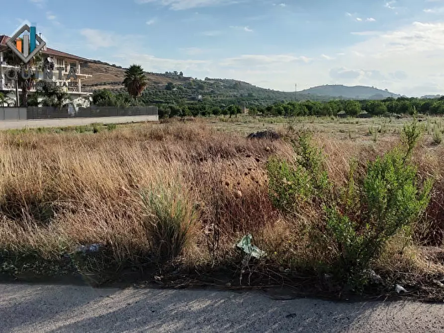 Immagine 3 di Terreno in vendita  in c.da Albanello snc a Palagonia