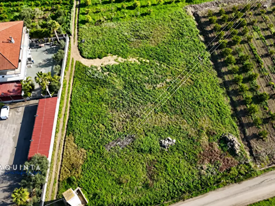 Immagine 3 di Terreno in vendita  in c.da Albanello snc a Palagonia