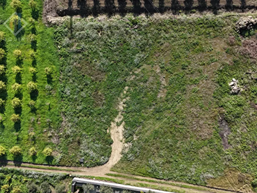 Immagine 4 di Terreno in vendita  in c.da Albanello snc a Palagonia