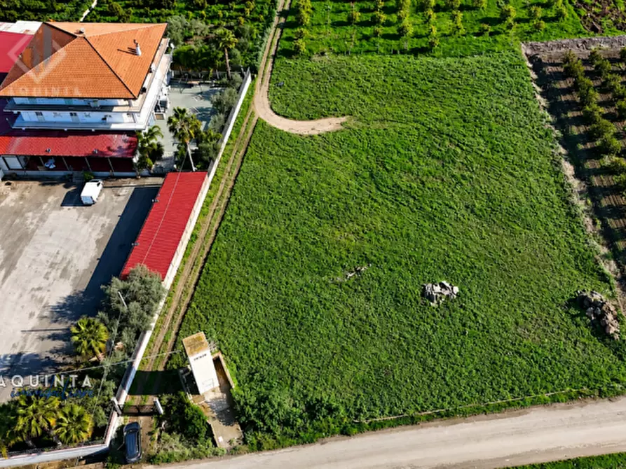 Immagine 4 di Terreno in vendita  in c.da Albanello snc a Palagonia