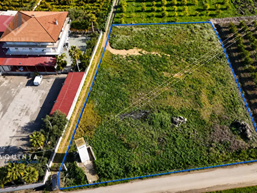 Immagine 5 di Terreno in vendita  in c.da Albanello snc a Palagonia