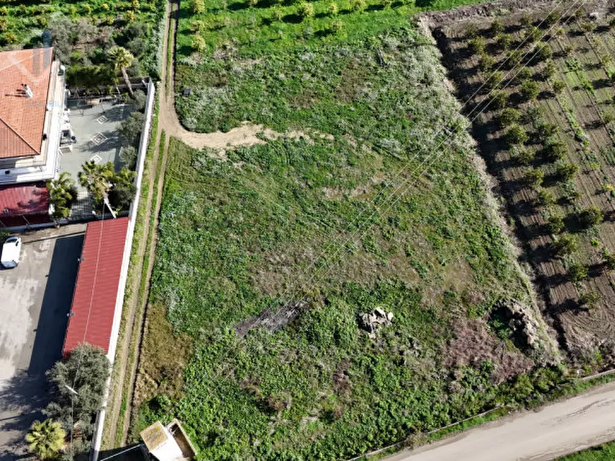 Immagine 6 di Terreno in vendita  in c.da Albanello snc a Palagonia
