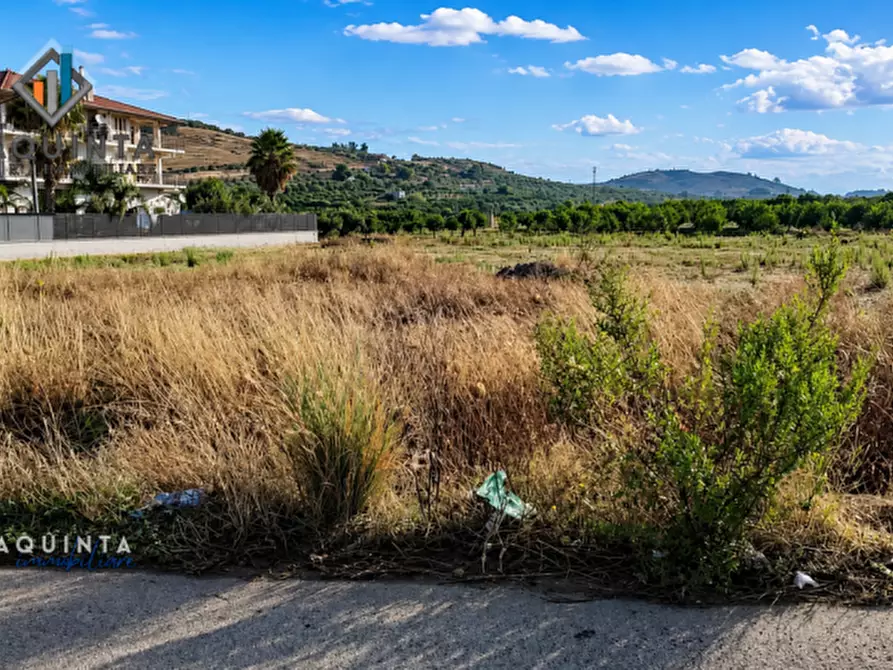 Immagine 7 di Terreno in vendita  in c.da Albanello snc a Palagonia