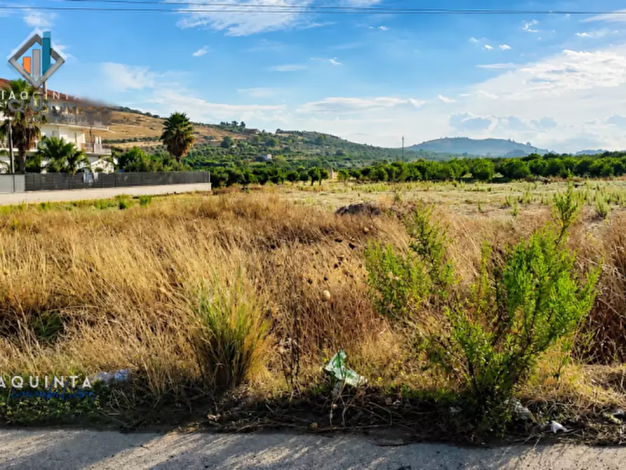 Immagine 8 di Terreno in vendita  in c.da Albanello snc a Palagonia