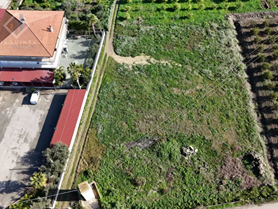 Immagine 10 di Terreno in vendita  in c.da Albanello snc a Palagonia