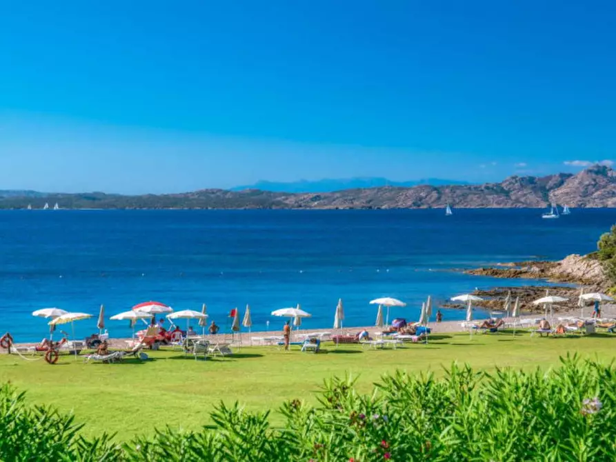 Immagine 30 di Appartamento in vendita  a Arzachena