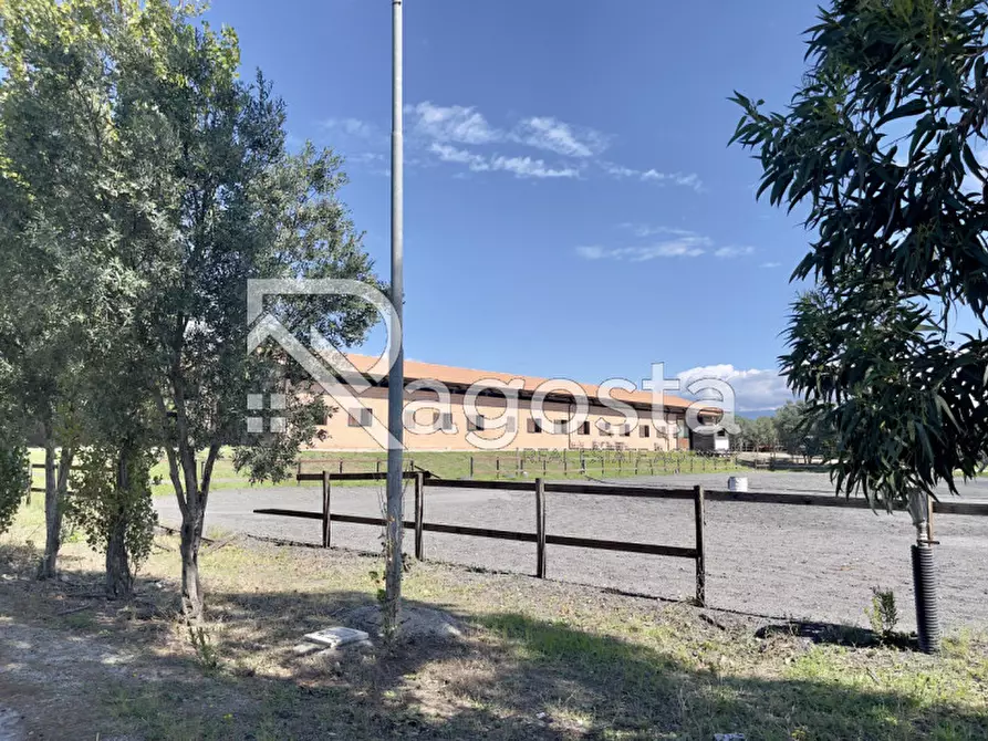 Immagine 2 di Terreno in vendita  in Via Gioacchino Murat a Serre