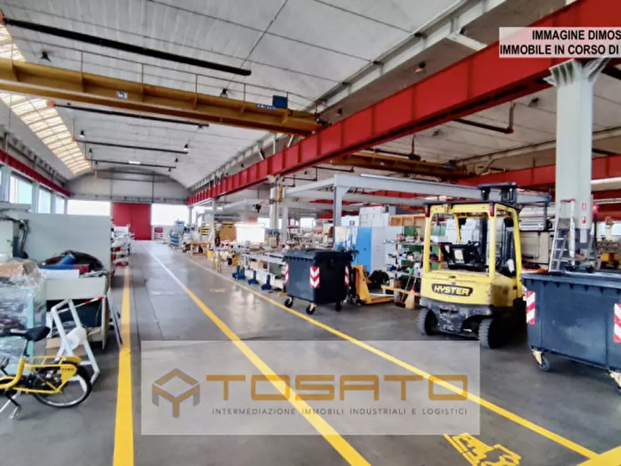 Immagine 3 di Capannone industriale in vendita  a Sommacampagna